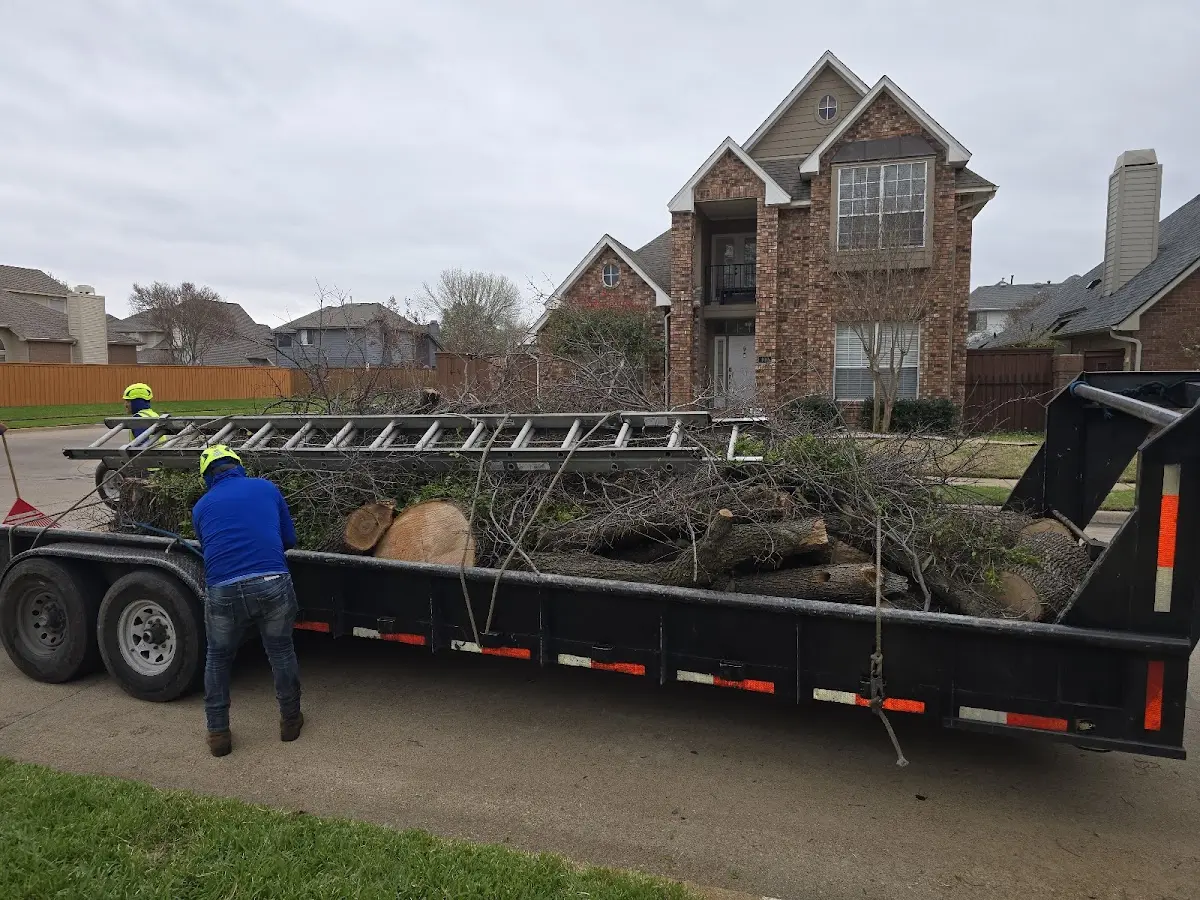 Expert Tree Fertilization with proper safety equipment in Orr